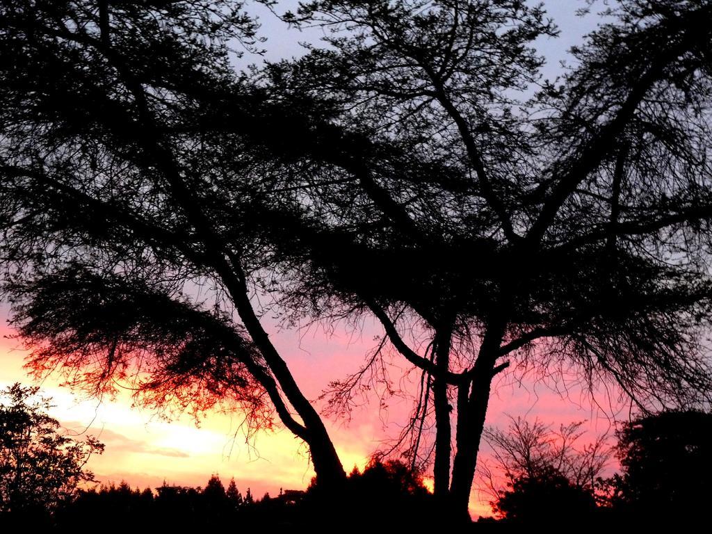 Jacana Gardens Guest Lodge Harare Exterior foto